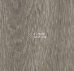 Кварцвиниловые полы Forbo Allura Click 60280CL5 grey giant oak фото 1 | FLOORDEALER